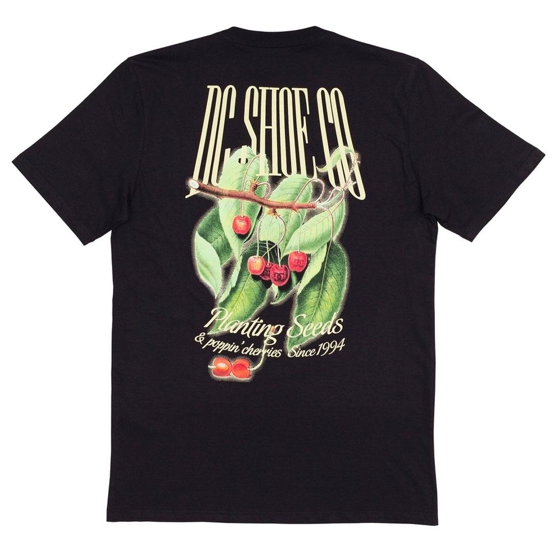 Camiseta Dc Planter Masculino
