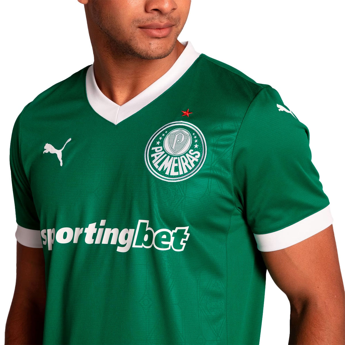 Camisa Puma Palmeiras Torcedor Home 2025 Masculino