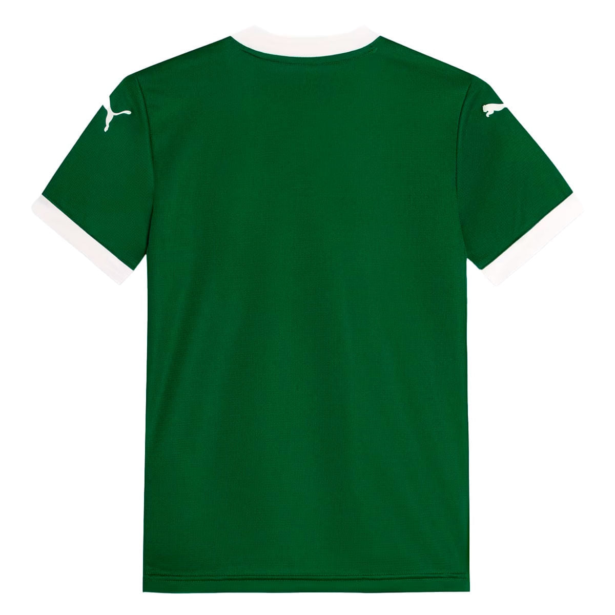 Camisa Puma Palmeiras Torcedor Home 2025 Infantil