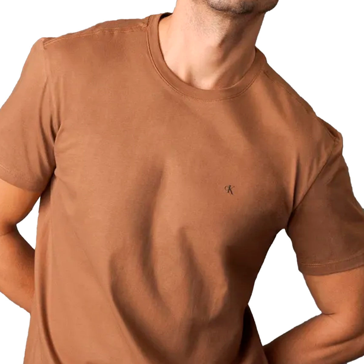 Camiseta Calvin Klein Freeriders Masculino