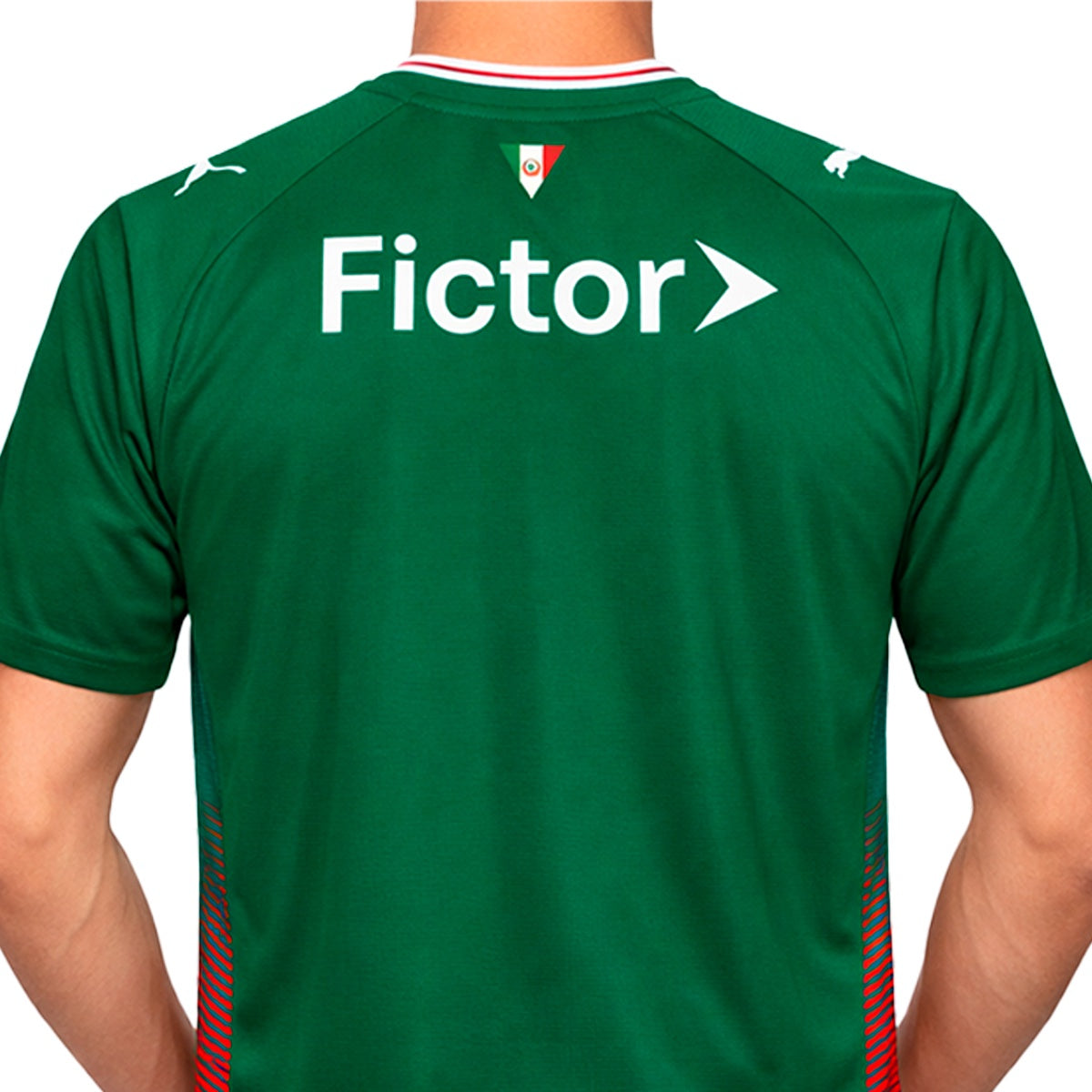 Camisa Puma Palmeiras I 26/27 Torcedor Masculino