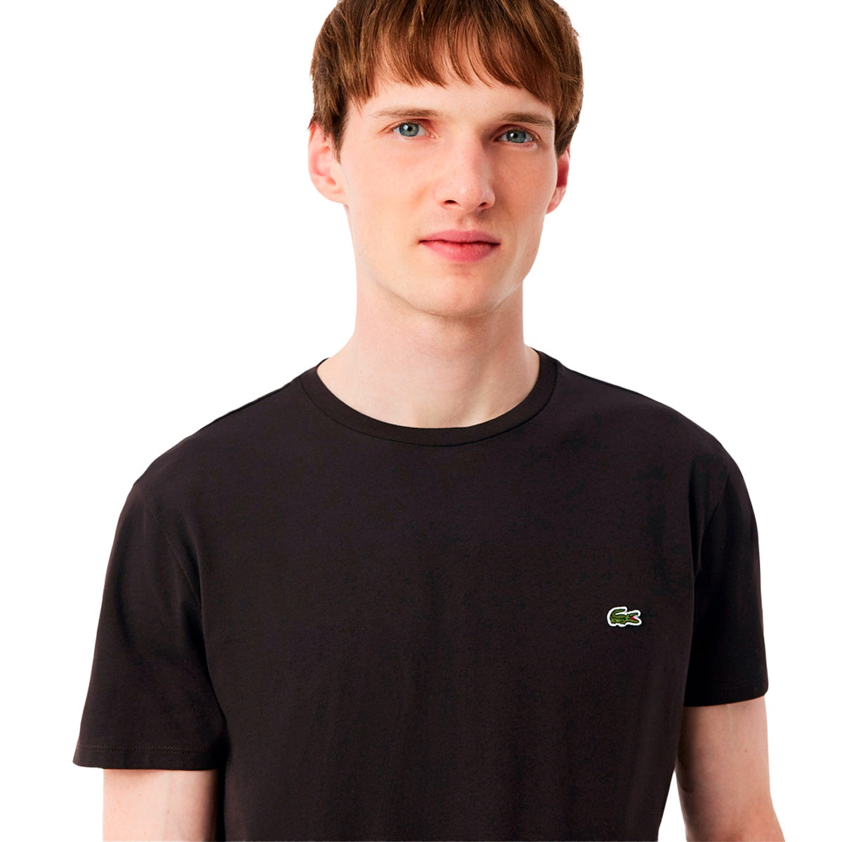 Camiseta Lacoste Pima Masculino