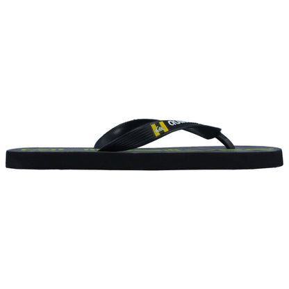 Chinelo Quiksilver Molokai Freshness Masculino
