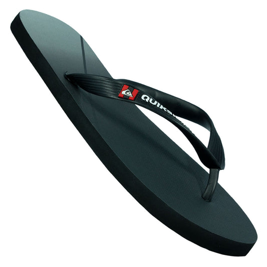 Chinelo Quiksilver Molokai New Masculino