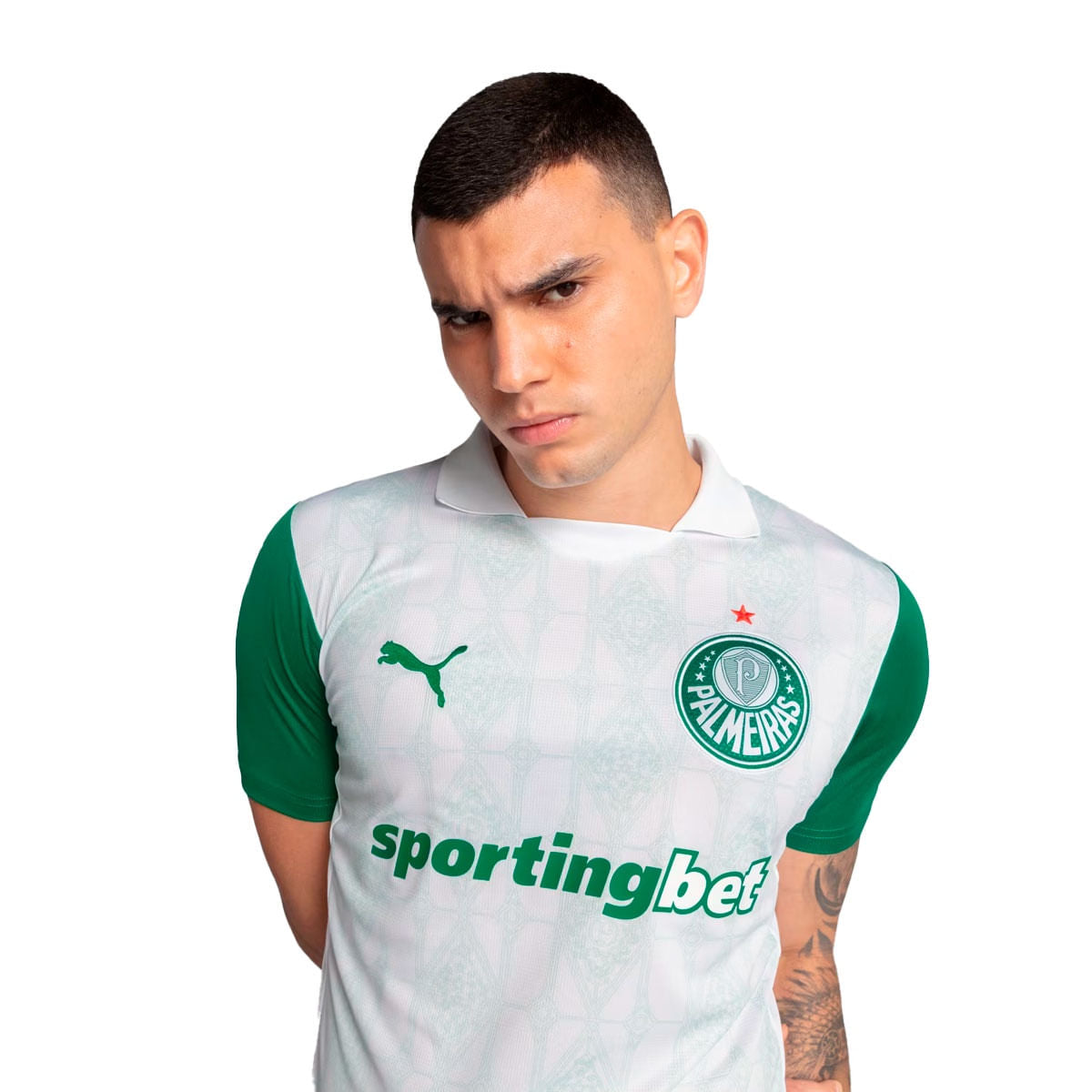 Camisa Puma Palmeiras II Torcedor 25/26 Masculino