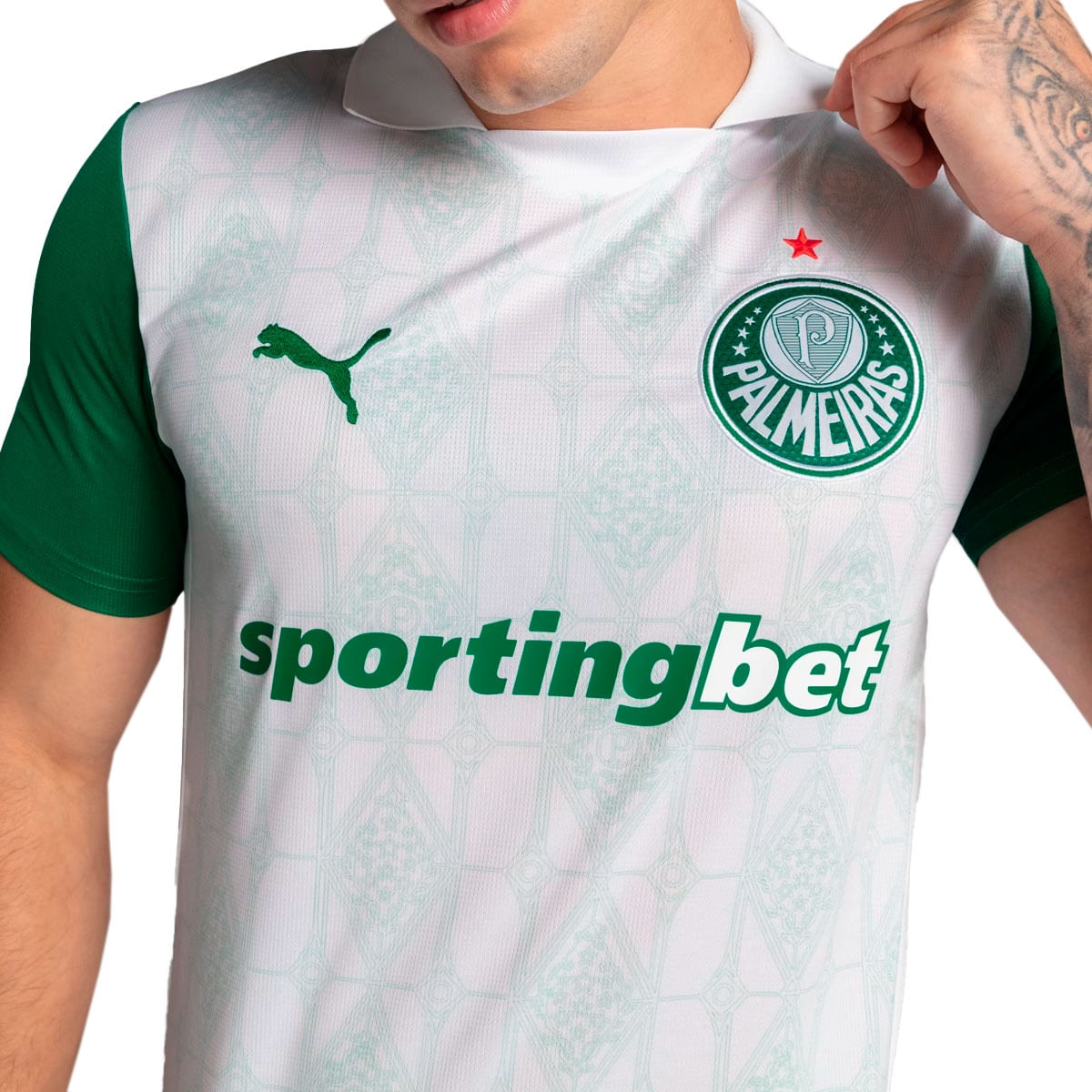 Camisa Puma Palmeiras II Torcedor 25/26 Masculino
