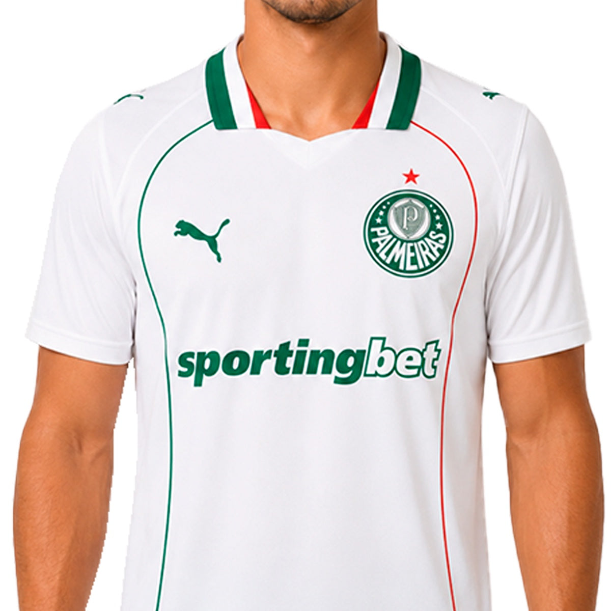 Camisa Puma Palmeiras II 26/27 Torcedor Masculino