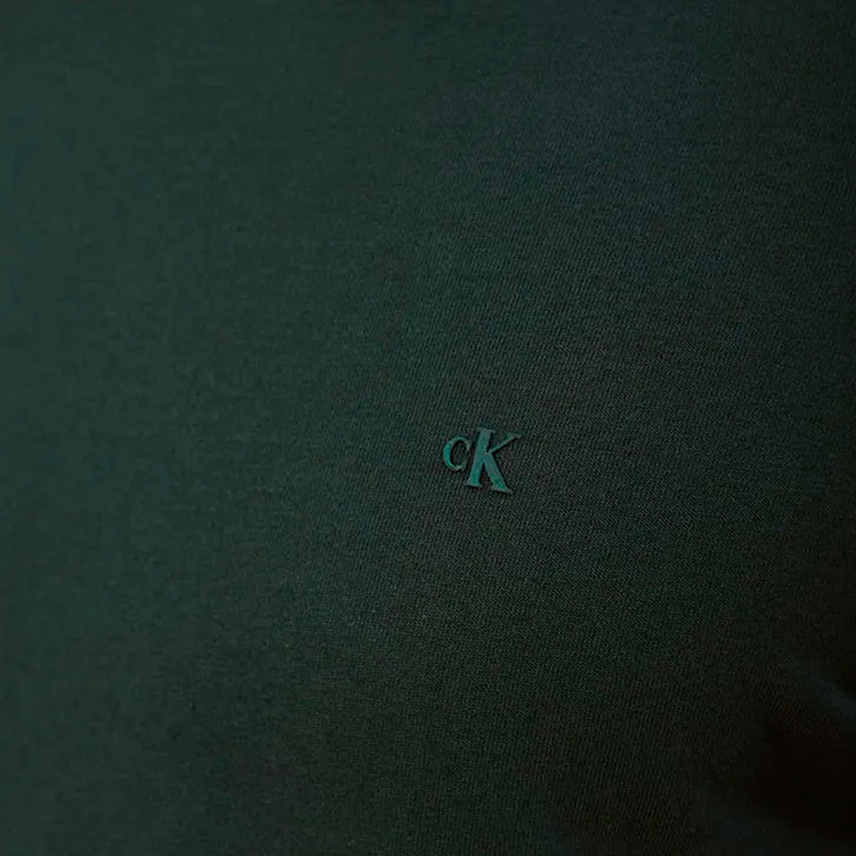Camiseta Calvin Klein Malhão Masculino