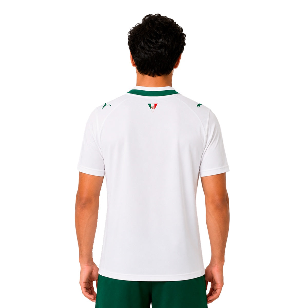 Camisa Puma Palmeiras II 26/27 Torcedor Masculino