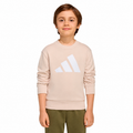 Conjunto Adidas Jogger Essentials Infantil