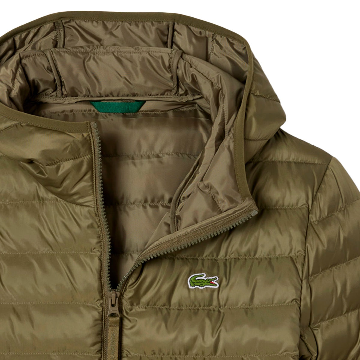 Jaqueta Lacoste C/ Capuz Masculino