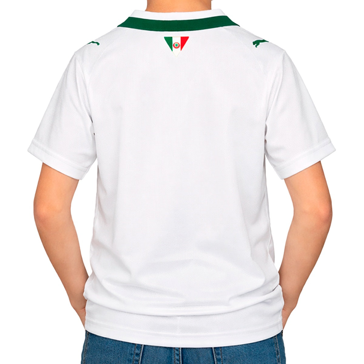 Camisa Puma Palmeiras II 26/27 Torcedor Infantil