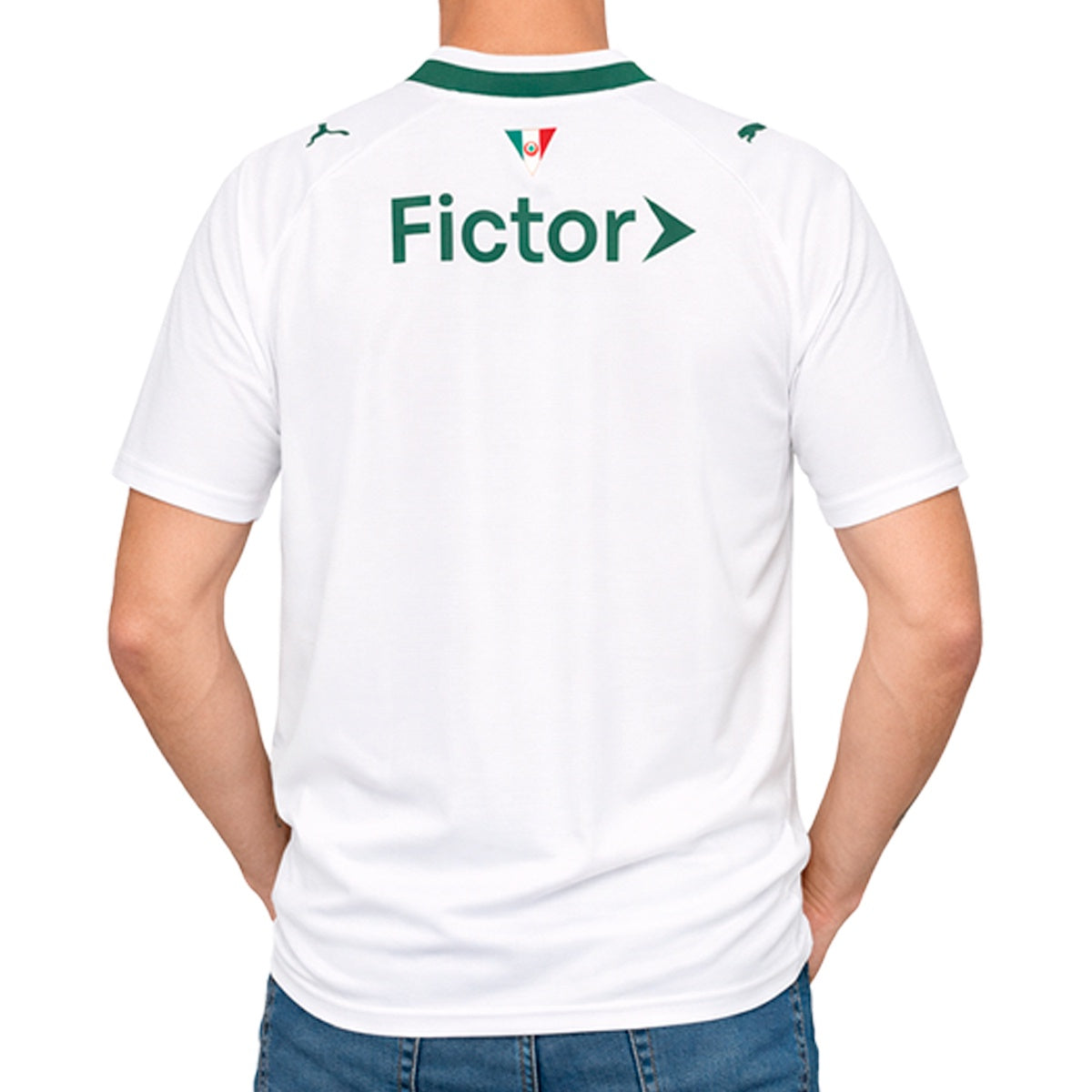 Camisa Puma Palmeiras II 26/27 Torcedor Masculino