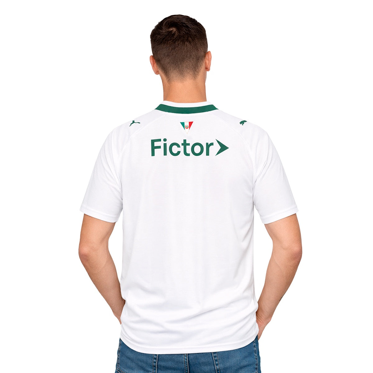 Camisa Puma Palmeiras II 26/27 Torcedor Masculino