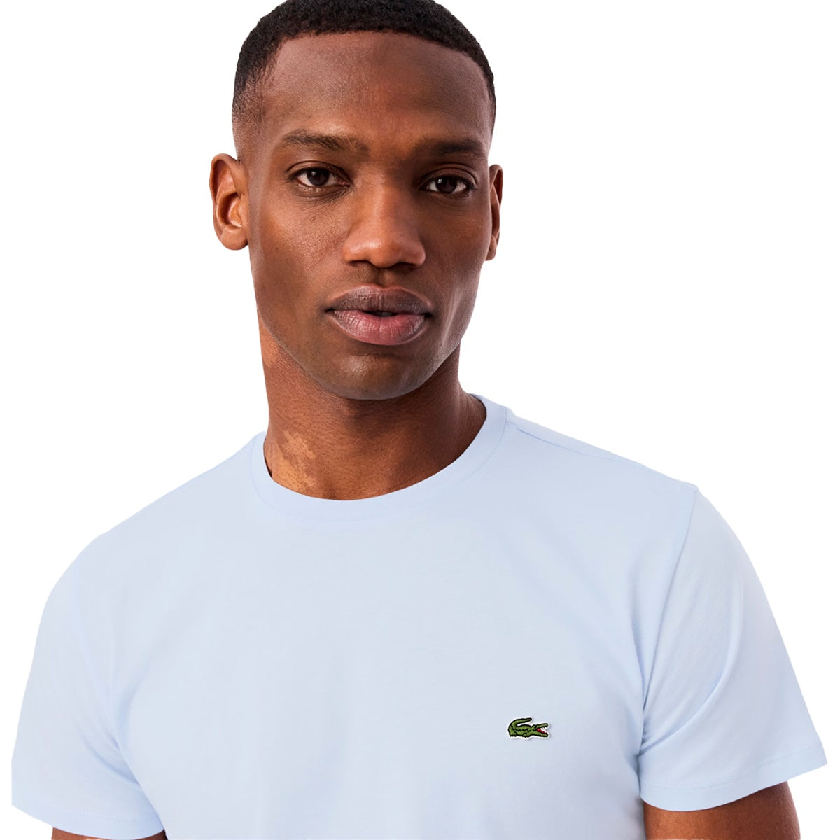 Camiseta Lacoste Pima Masculino
