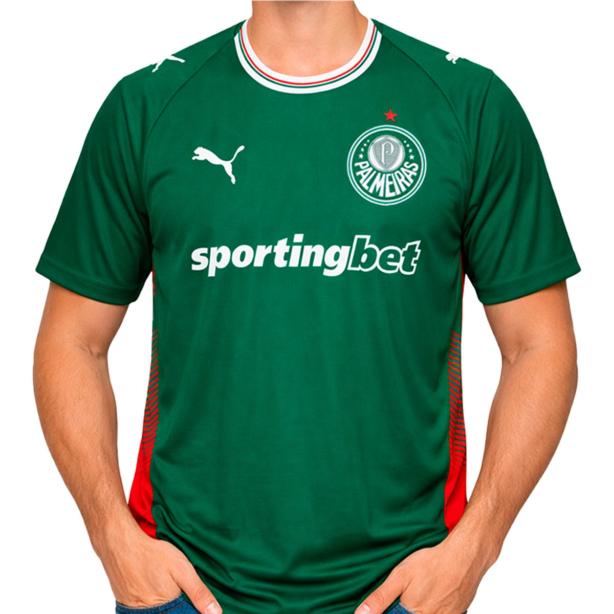 Camisa Puma Palmeiras I 26/27 Torcedor Masculino