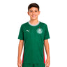 Camisa Puma Palmeiras Home 26 Infantil