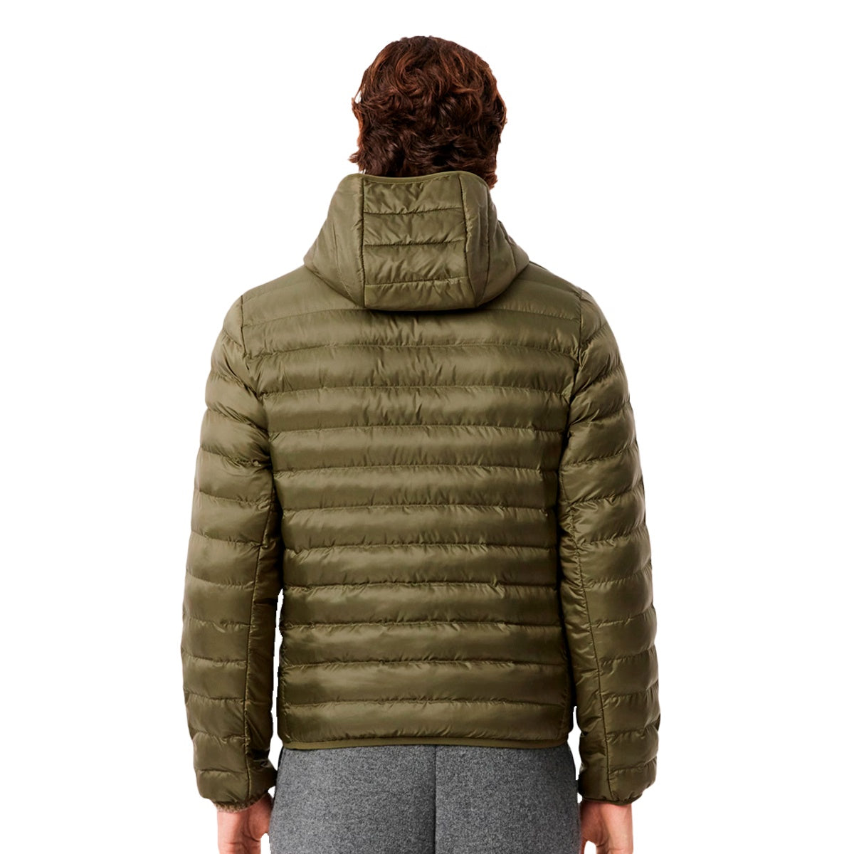 Jaqueta Lacoste C/ Capuz Masculino