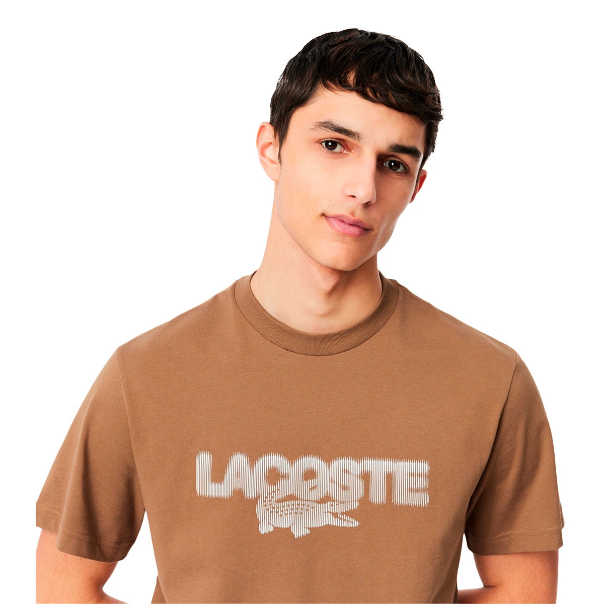 Camiseta Lacoste Jersey Masculino