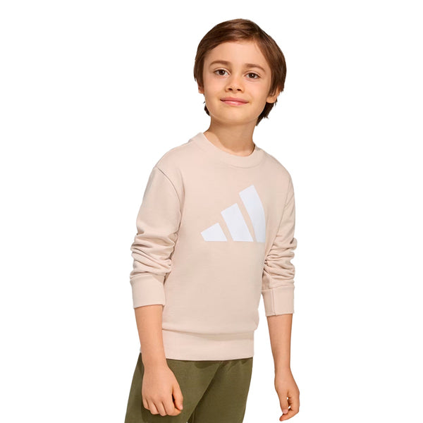 Conjunto Adidas Jogger Essentials Infantil