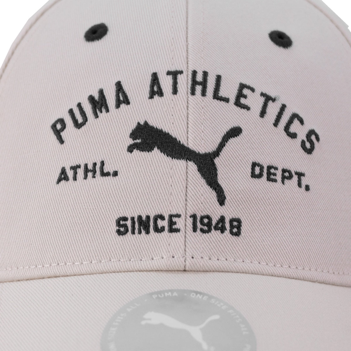 Boné Aba Curva Puma Class Bb Unissex